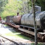 IMG_7588 (May 28, 2024)